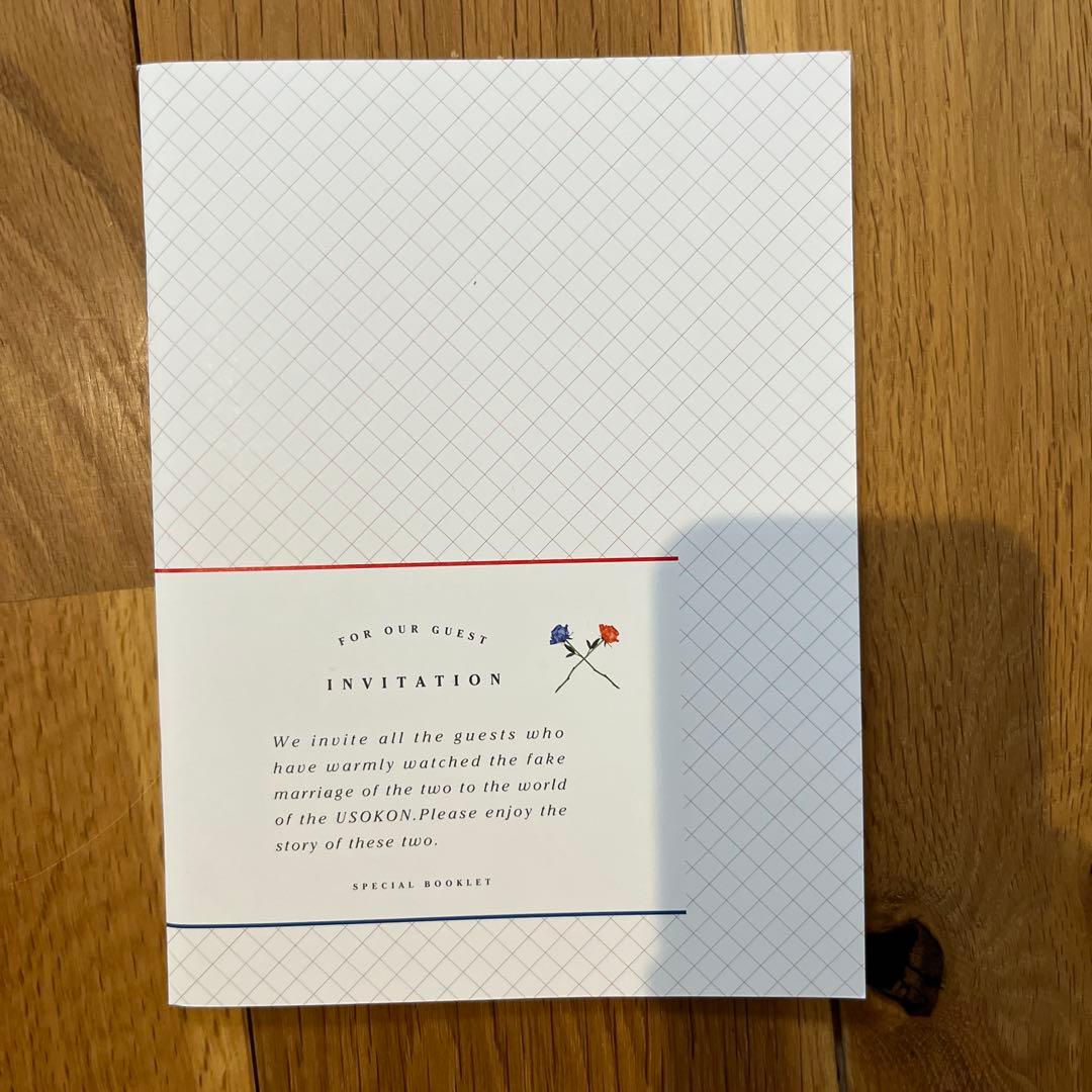 ウソ婚 DVD-BOX〈4枚組〉