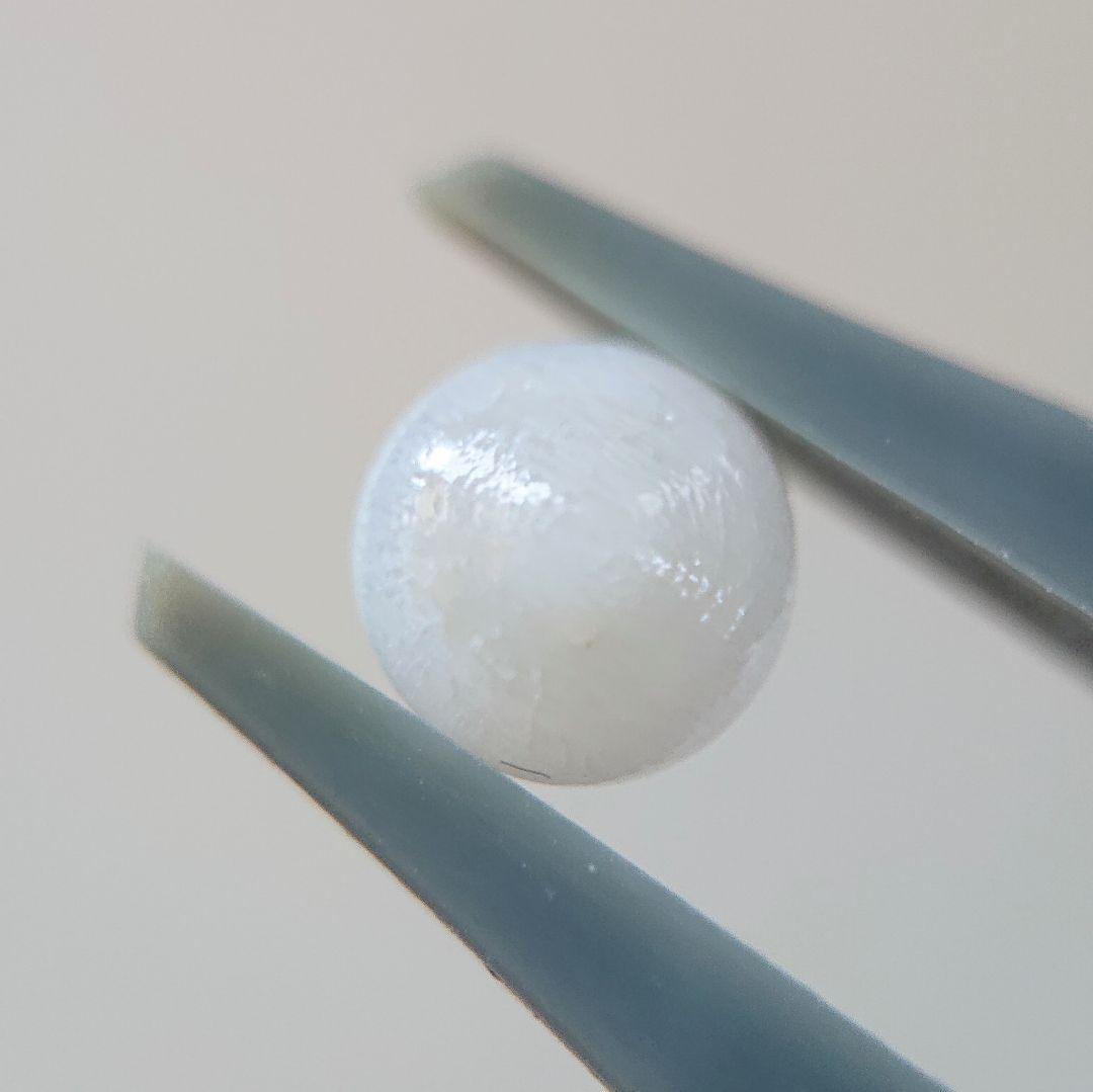 天然クラムパール／トリダクナパール（約1.2ct） - メルカリ