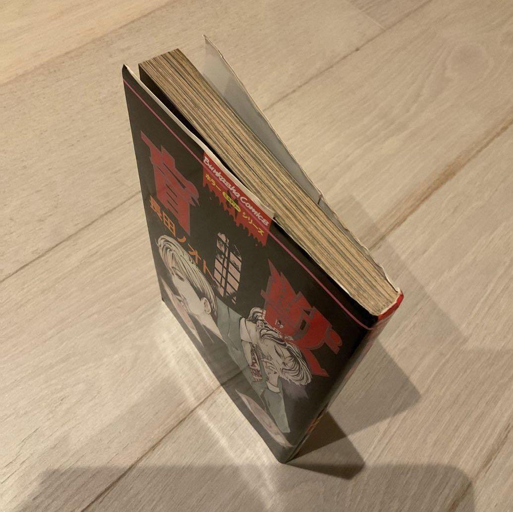 盲獣 アングラ アンダーグラウンド　漫画