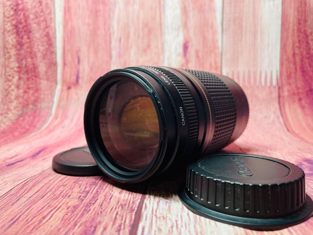 CANON キャノン EF 75-300mm 1:4-5.6 Ⅱ EF75-300mm f/4-5.6 II - Canon Camera Museum