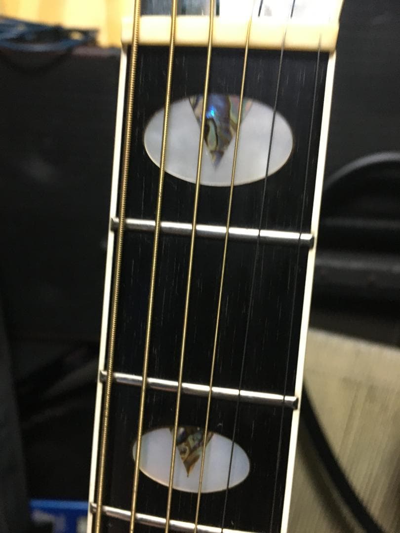 NPT 115　2系統出力　CT4DX　FishレアアースV付　調整済は動画で！