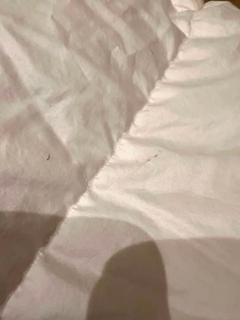 ハンガリー産グース93% 1.3k 綿100 プレミアムウォッシュ品 オススメ！