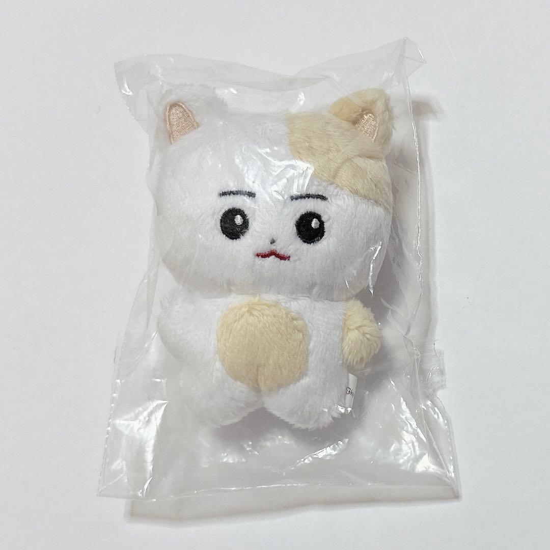 ENHYPEN ヒスン ぬいぐるみ 10cm マスター 人形 한국뵤 - メルカリ