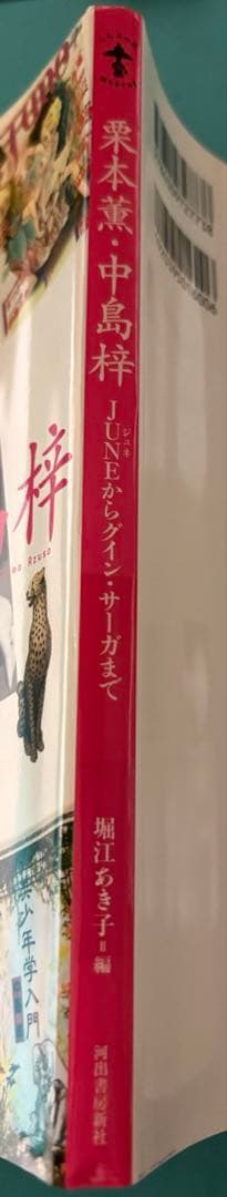 栗本薫・中島梓 JUNEからグイン・サーガまで - メルカリ