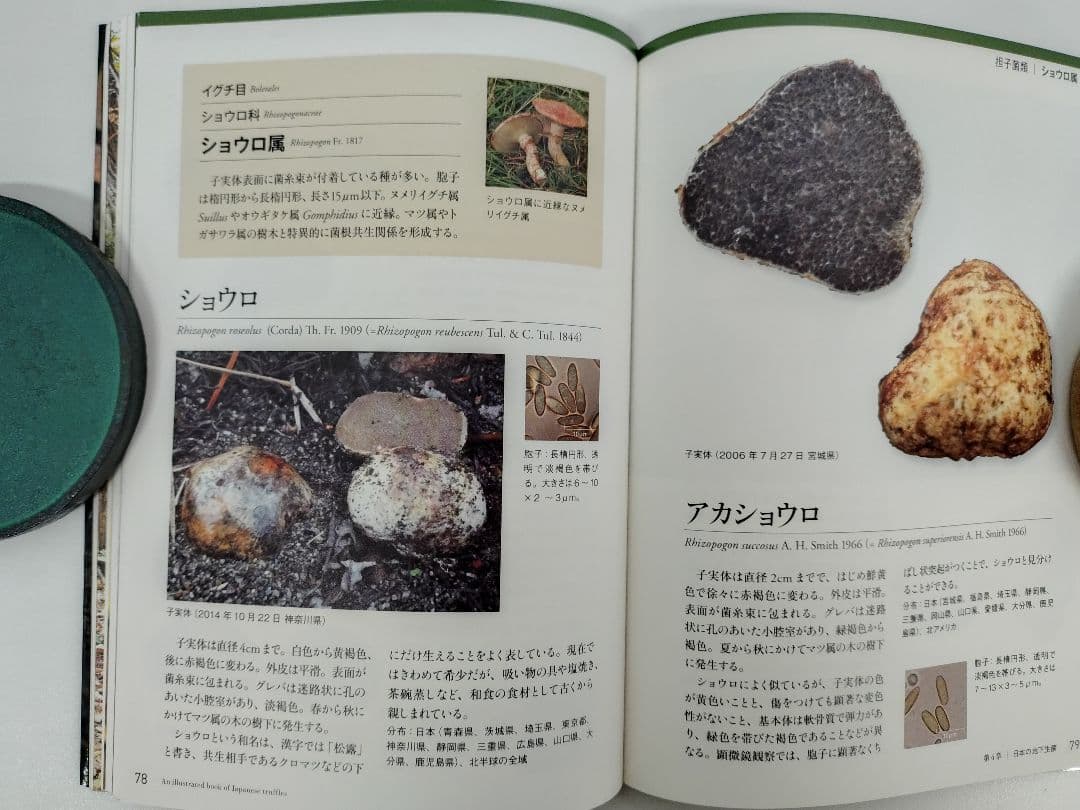 日本のトリュフ。地下で進化したキノコの仲間たち 地下生菌 識別図鑑