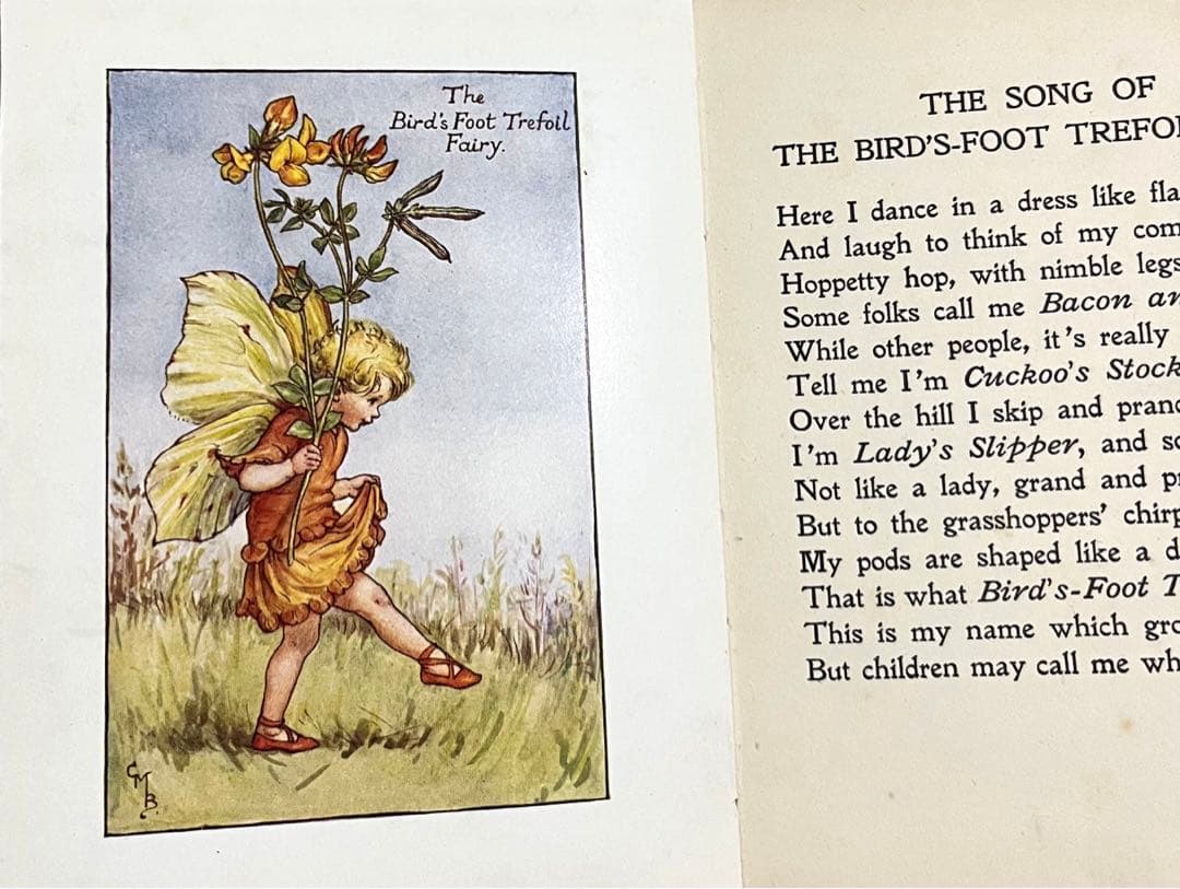 No.261 希少 古書 洋書 絵本 花の妖精 フラワー フェアリーズ - メルカリ