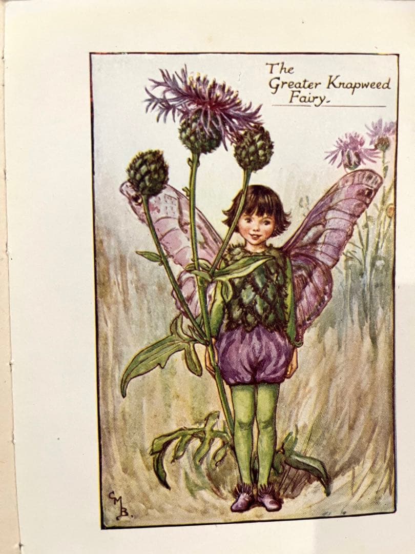 No.261 希少 古書 洋書 絵本 花の妖精 フラワー フェアリーズ - メルカリ