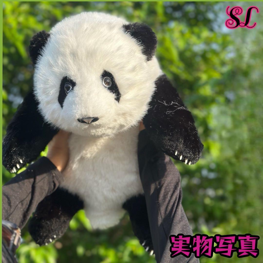 リアルで癒される！5ヶ月齢パンダぬいぐるみ - メルカリ