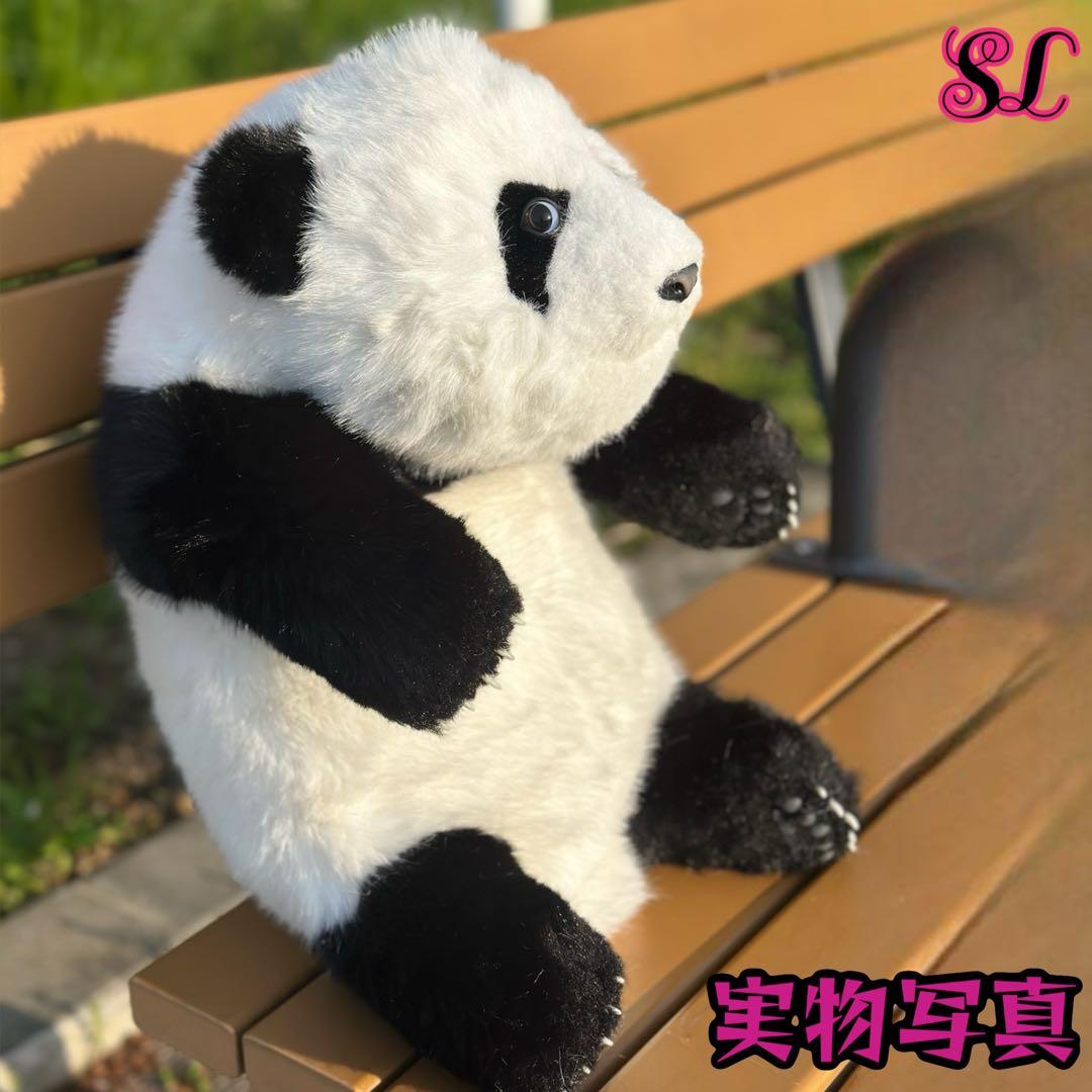 リアルで癒される！5ヶ月齢パンダぬいぐるみ - メルカリ