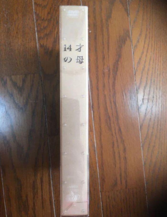 14才の母 愛するために 生まれてきた DVD-BOX〈5枚組〉新品未開封
