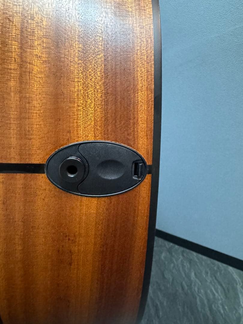 ノン様 Taylor 114e ES2 (エレアコ) 美品 ※純正ハードケース付 - メルカリ