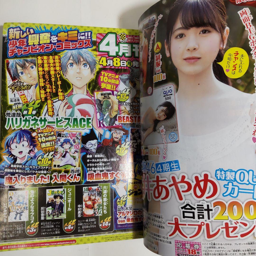 筒井あやめ 少年チャンピオン（新品）2687