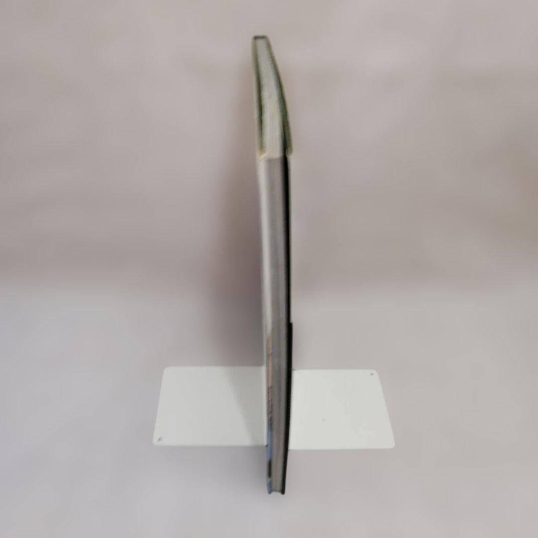 希少】The IVY TERUYOSHI HAYASHIDA サイン入り