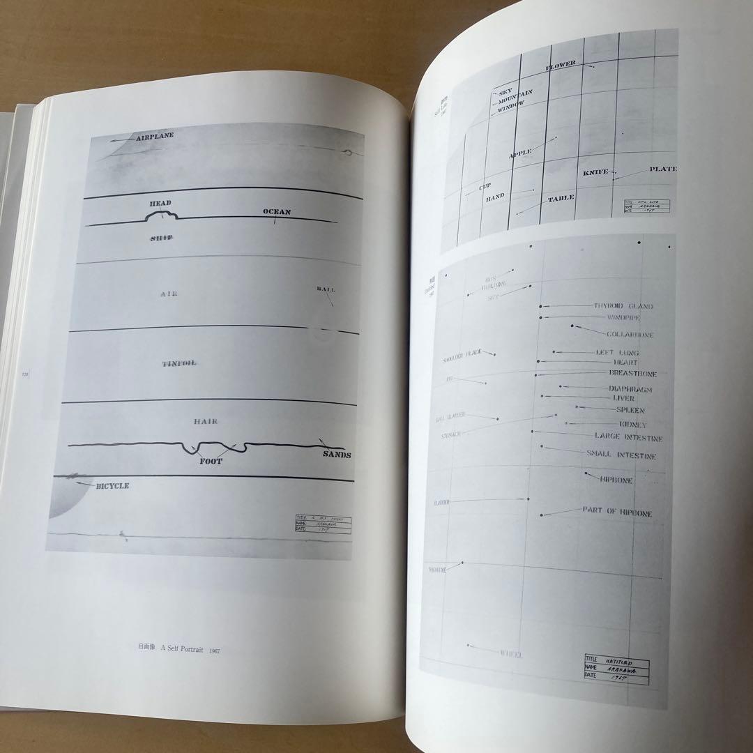 ARAKAWA Shusaku 荒川修作の実験展 見るものが作られる場 荒川修作の