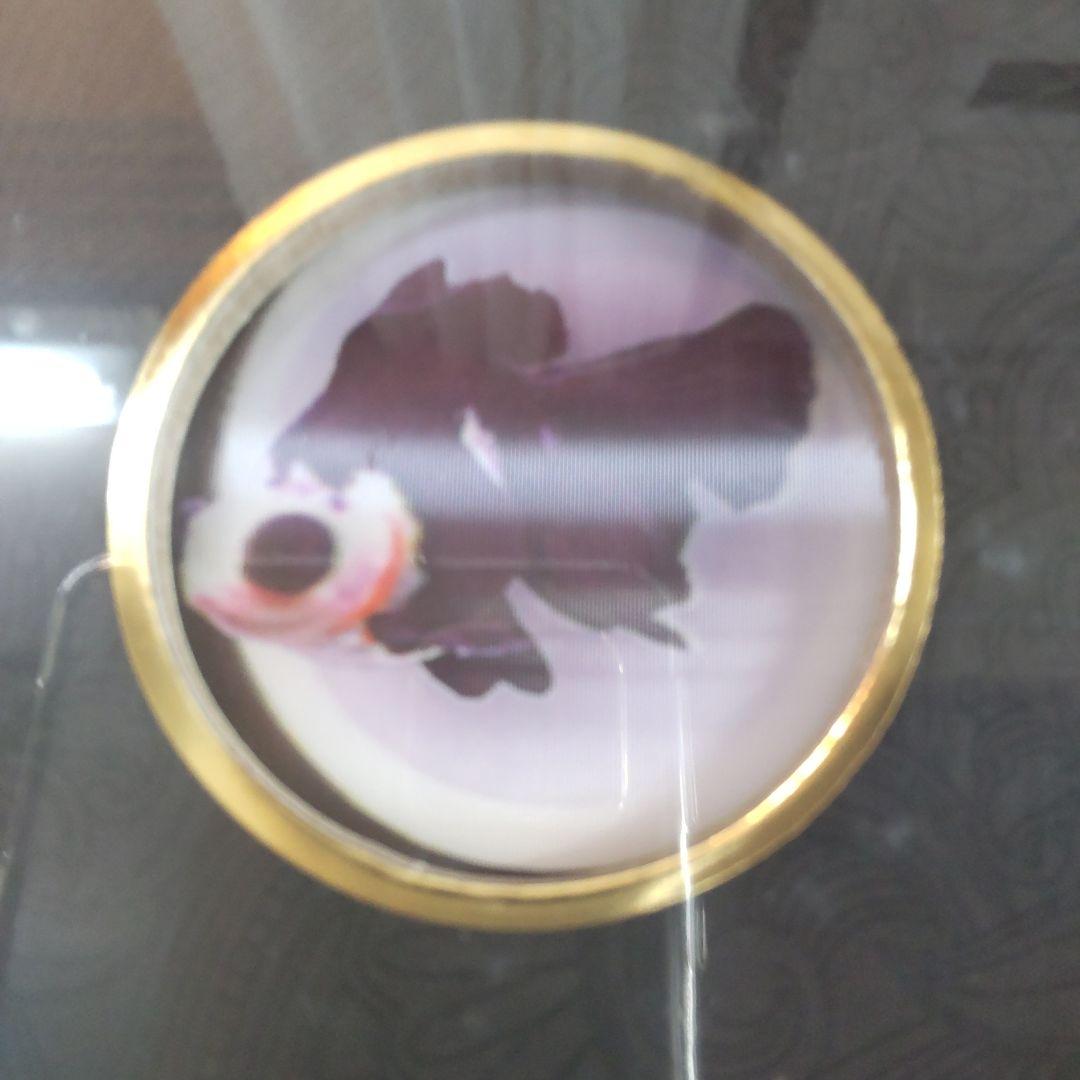 未開封新品】シュリンク有 中国金魚図鑑・専門書 - メルカリ