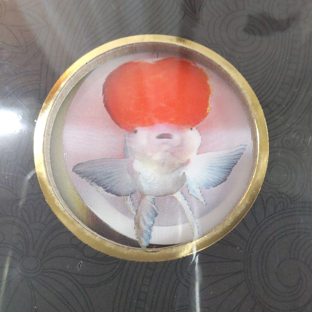 未開封新品】シュリンク有 中国金魚図鑑・専門書 - メルカリ