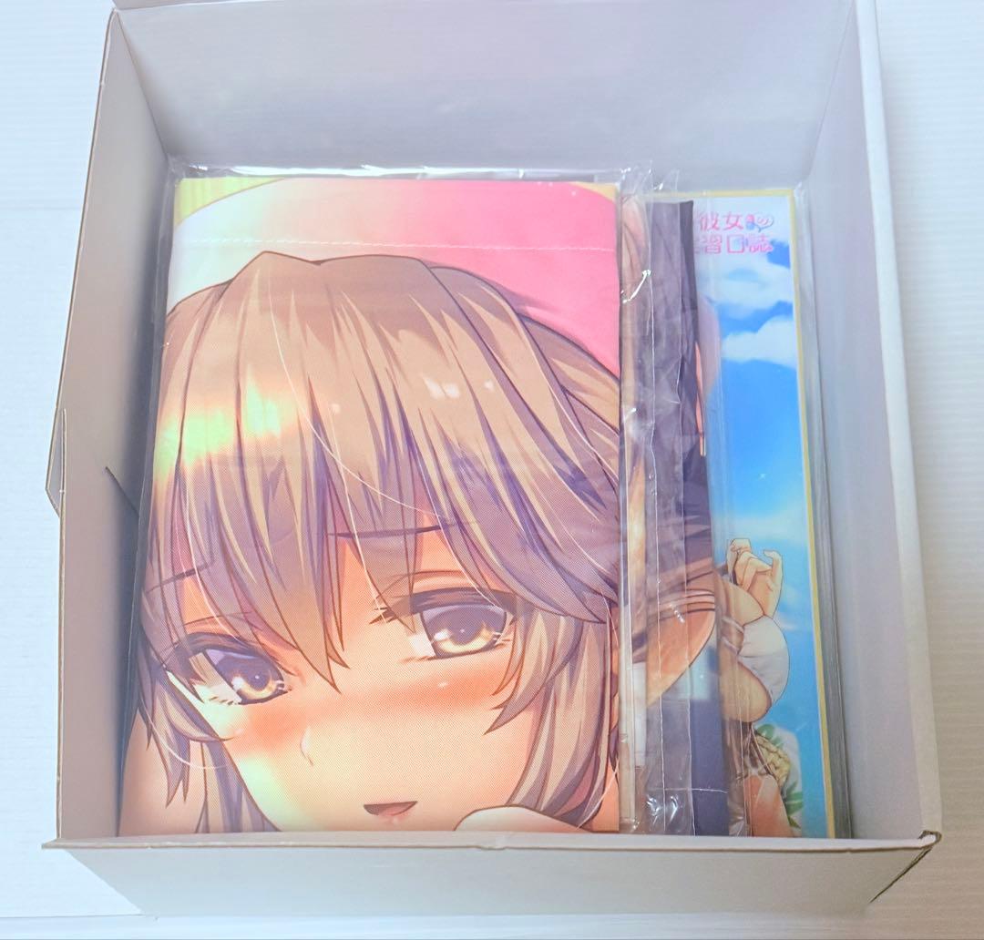 美品 Switch ボクと彼女たちの実習日誌 コンプリートBOX 特典未開封