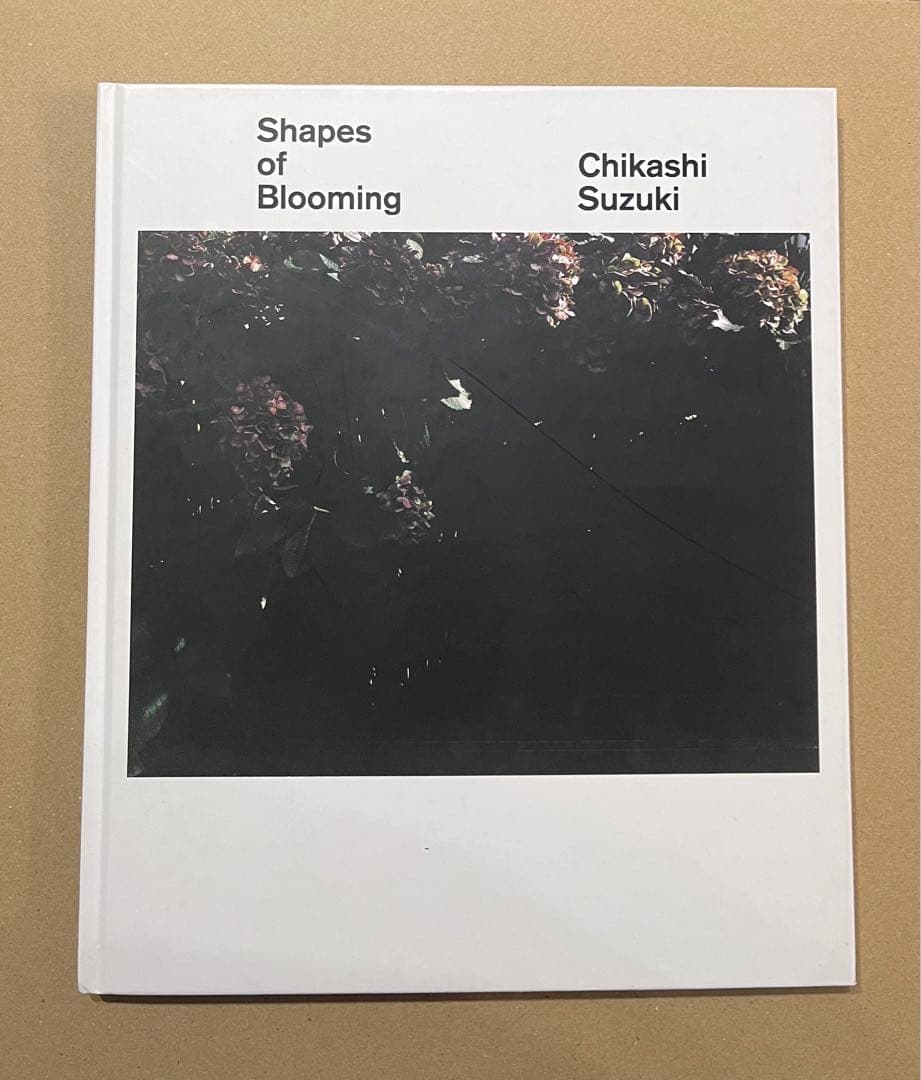 Shapes of Blooming Chikashi Suzuki 鈴木親 Shapes of Blooming｜鈴木親 Chikashi Suzuki