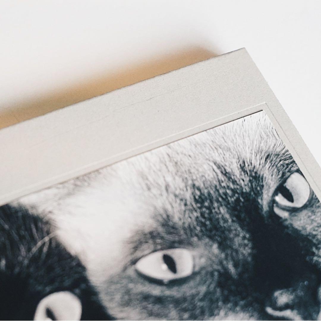 Wonderful Days（Special Edition）/ 深瀬昌久 - メルカリ