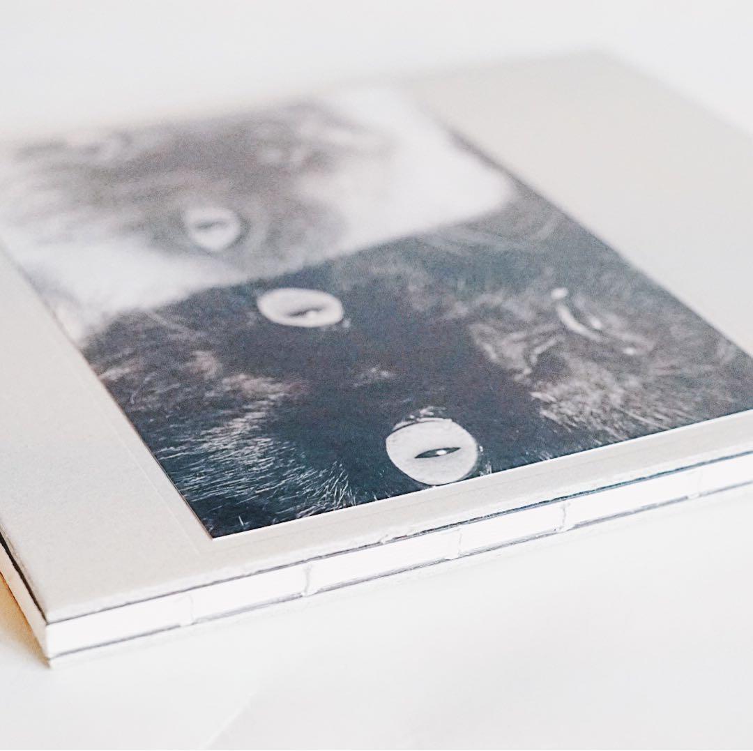 Wonderful Days（Special Edition）/ 深瀬昌久 - メルカリ