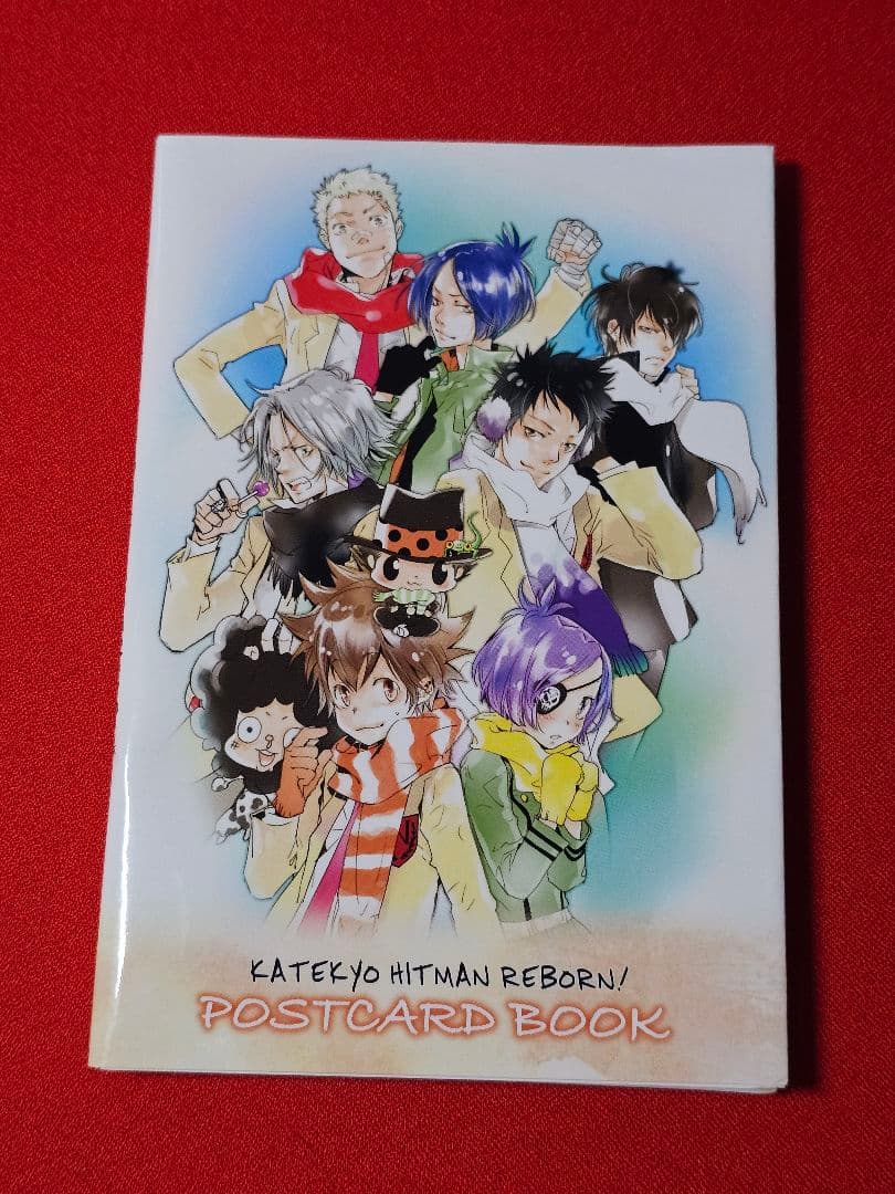 【希少】リボーン　ポストカードブック 家庭教師ヒットマンREBORN！』箔押しポストカードコレクション