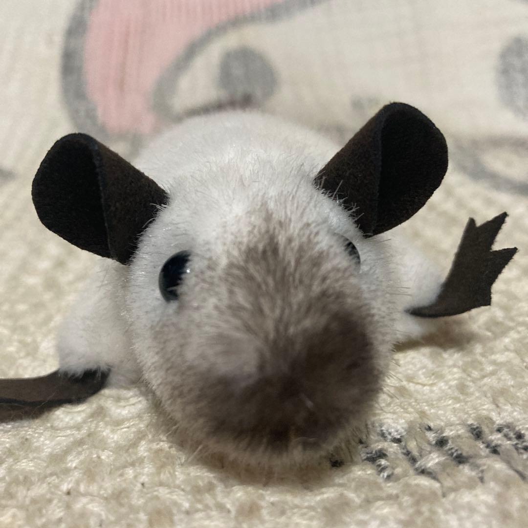 ケーセン Koesen ぬいぐるみ サイアミーズラット 中古品 - メルカリ