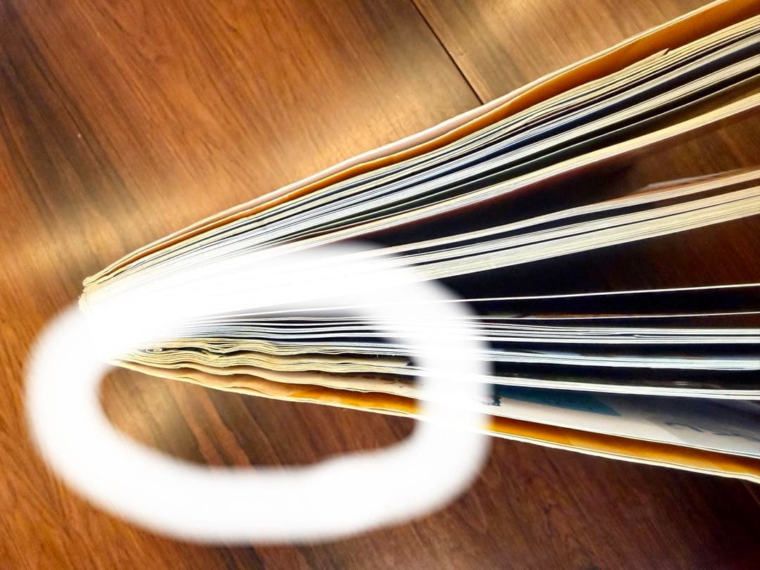 確認用です。 確認用です。 確認用です 確認用 Dio ZX 「確認用」 確認用 確認用