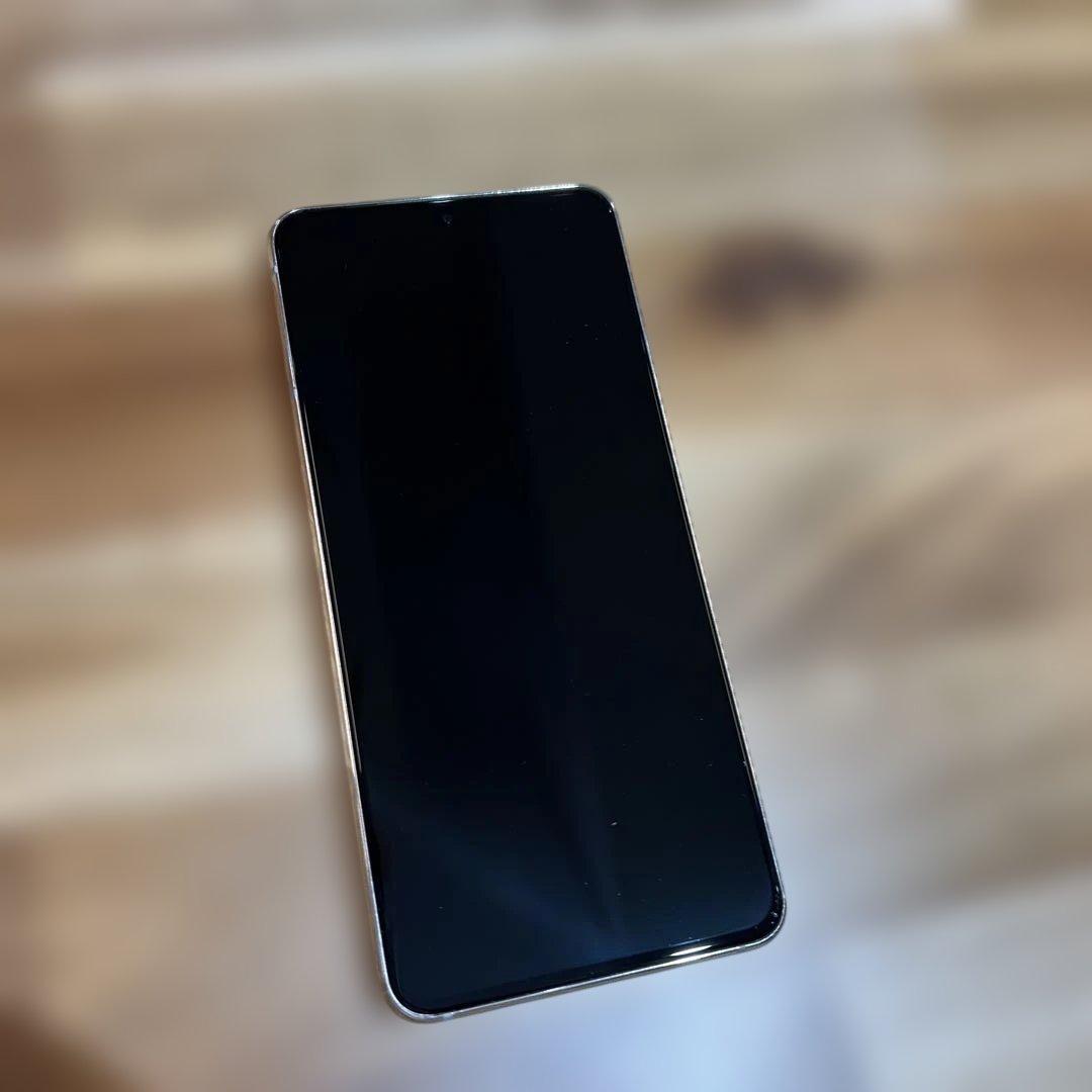 ひーちゃん様専用 Z231 ドコモ Galaxy S21 5G SC-51B - メルカリ