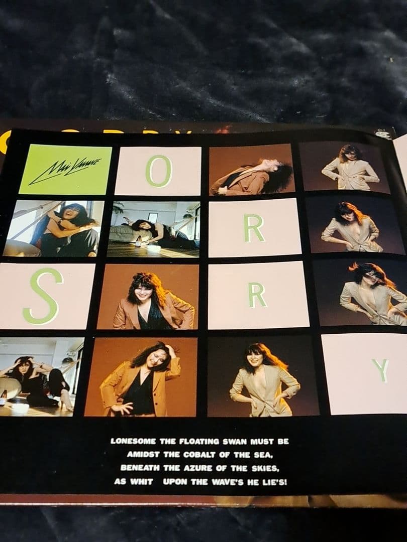 美盤 山根麻衣 『SORRY』LP