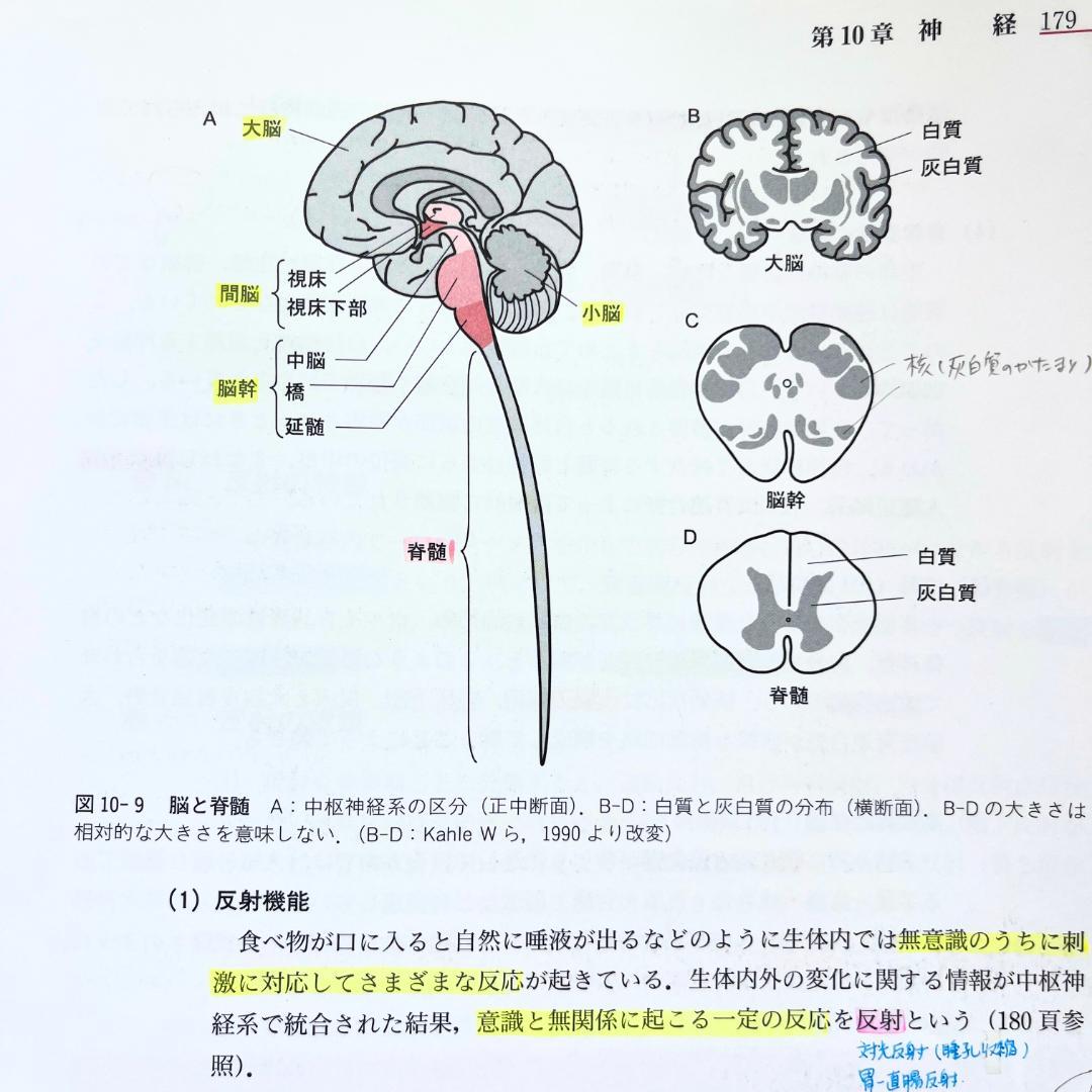14冊セット】鍼灸学校 教科書＋経穴マップ 国家試験 東洋医学/解剖学