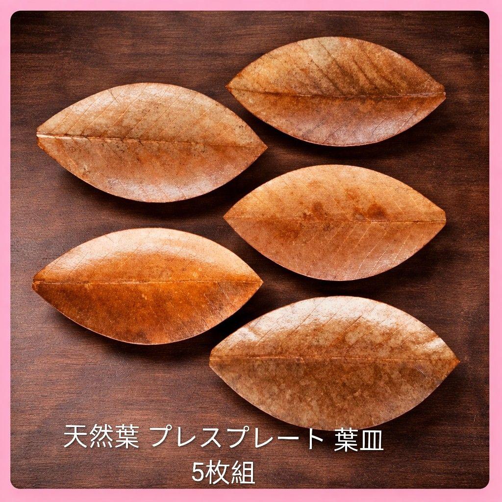 ●天然葉 プレスプレート 葉皿 5枚組アートオブジェ民藝ハンドメイドインテリア 楽天市場】プレート バナナリーフ柄 Sサイズ 全長19cm グリーン 陶器製