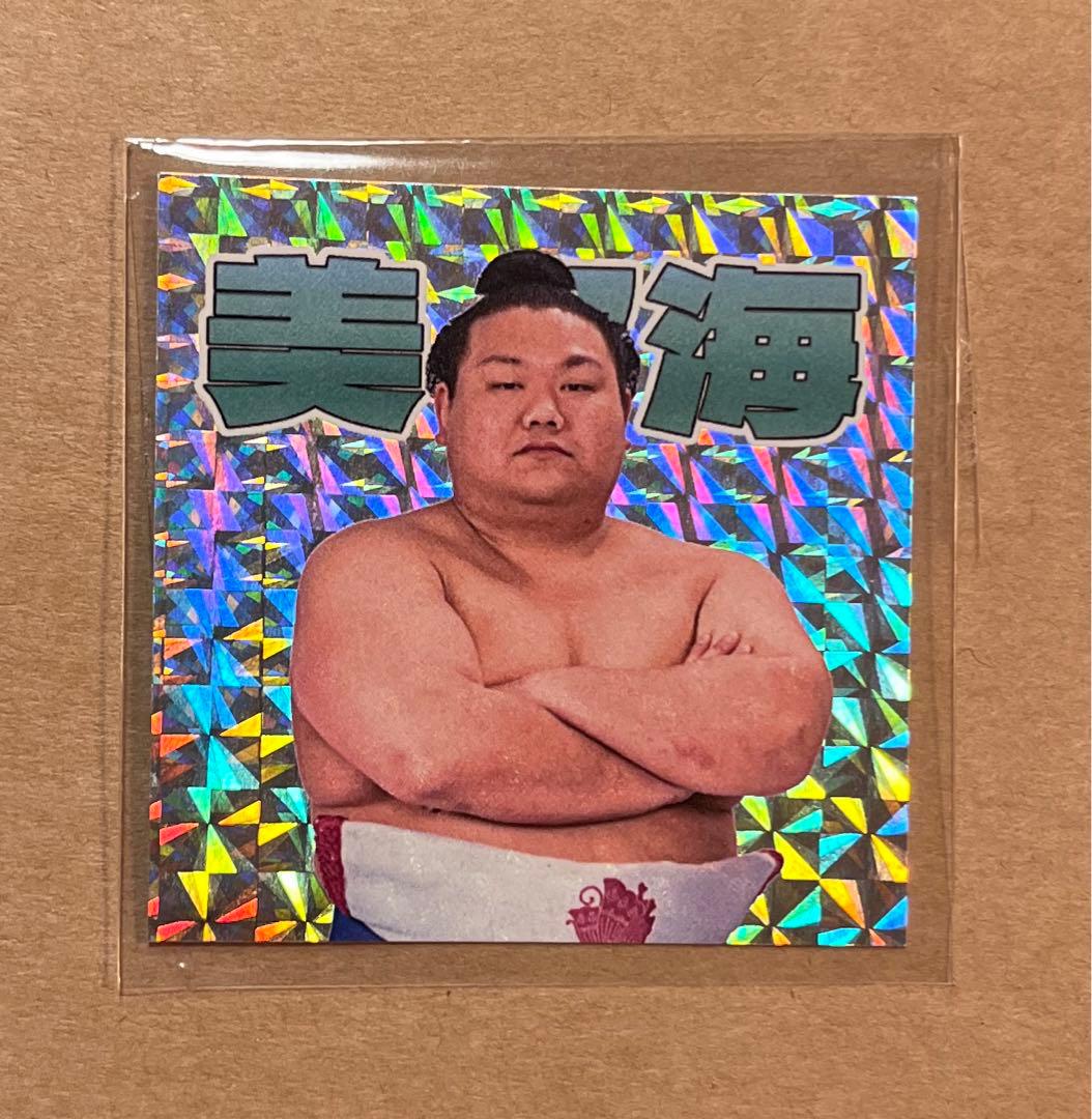 大相撲力士ステッカー ホログラム 美ノ海 - メルカリ