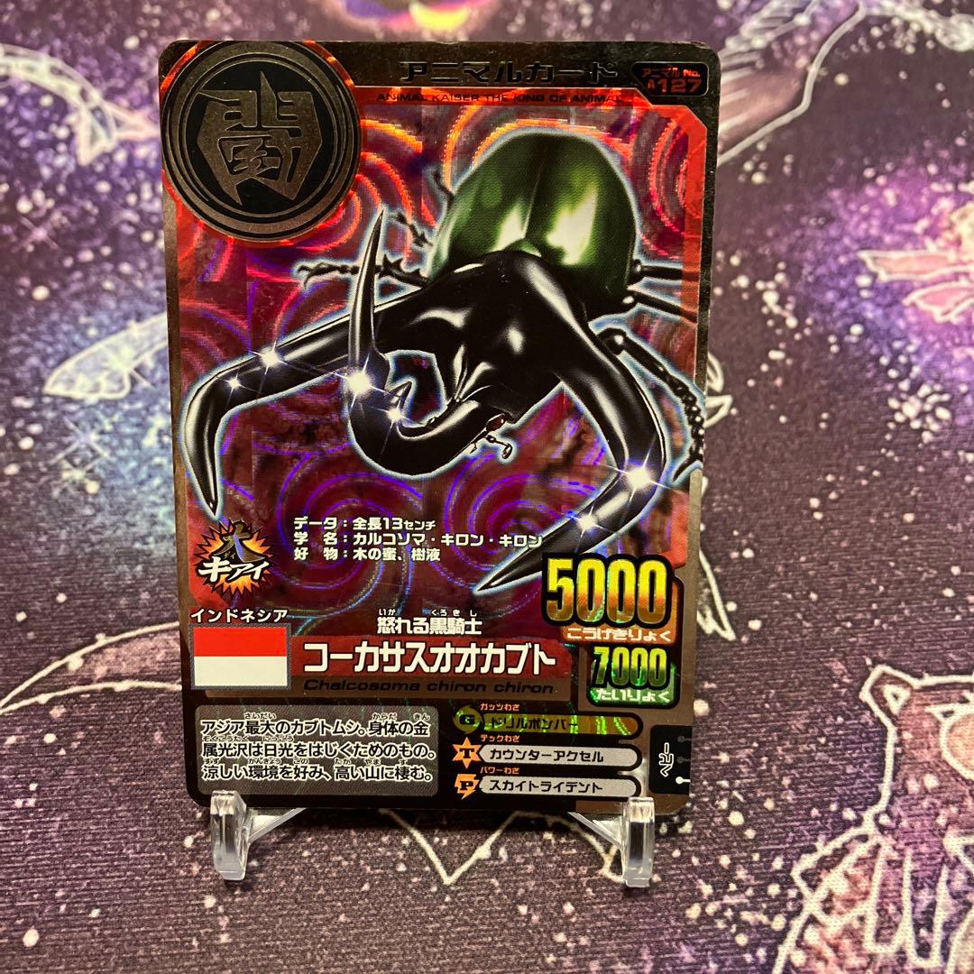 ラタトスクまとめ買い値引きあり！様 リクエスト 5点 まとめ商品