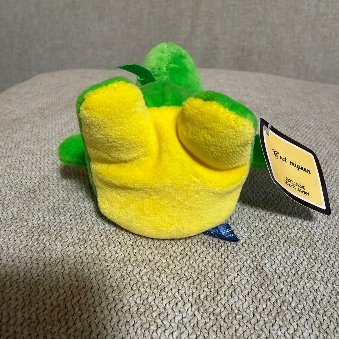 C'est mignon セ・ミニョン ドラゴン ぬいぐるみ 緑 恐竜 - メルカリ