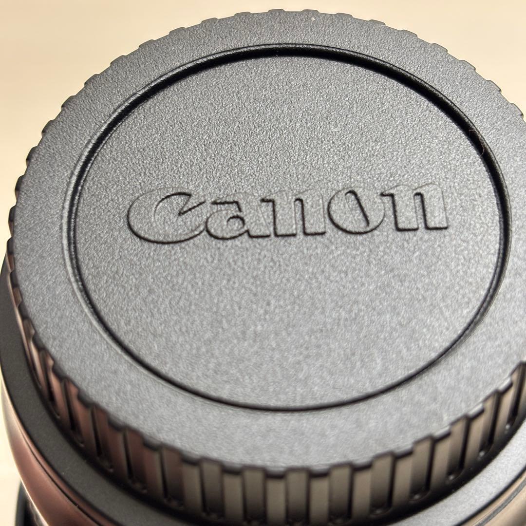 レンズ(ズーム) EF100-300mm F4.5-5.6 USM