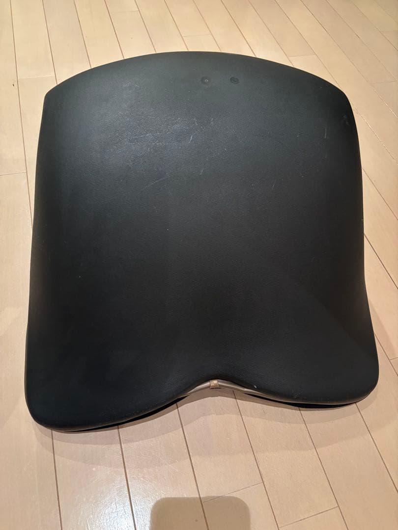 MTG 骨盤サポートチェアStyle PREMIUMスタイルプレミアム ブラック