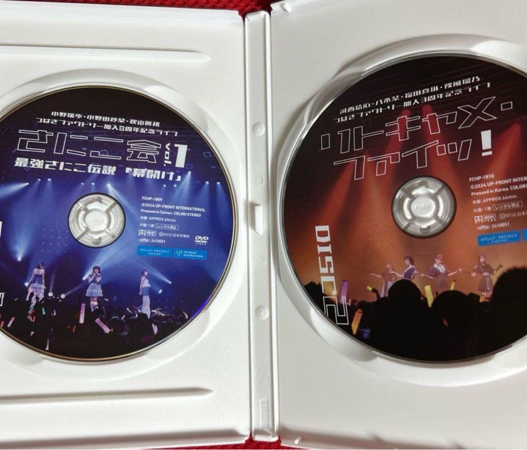 つばきファクトリー さにこ会vol.1 /～ リトキャメ・ファイッ！～ DVD