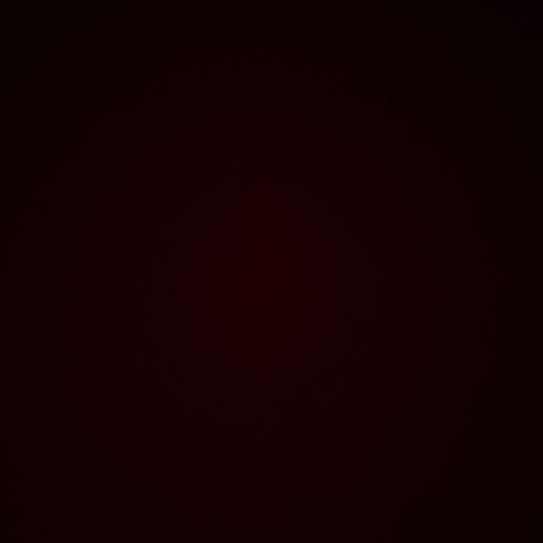 さわ　黒xl 23- ZX-4R Full Exhaust BLADE 発売 – モリワキエンジニアリング