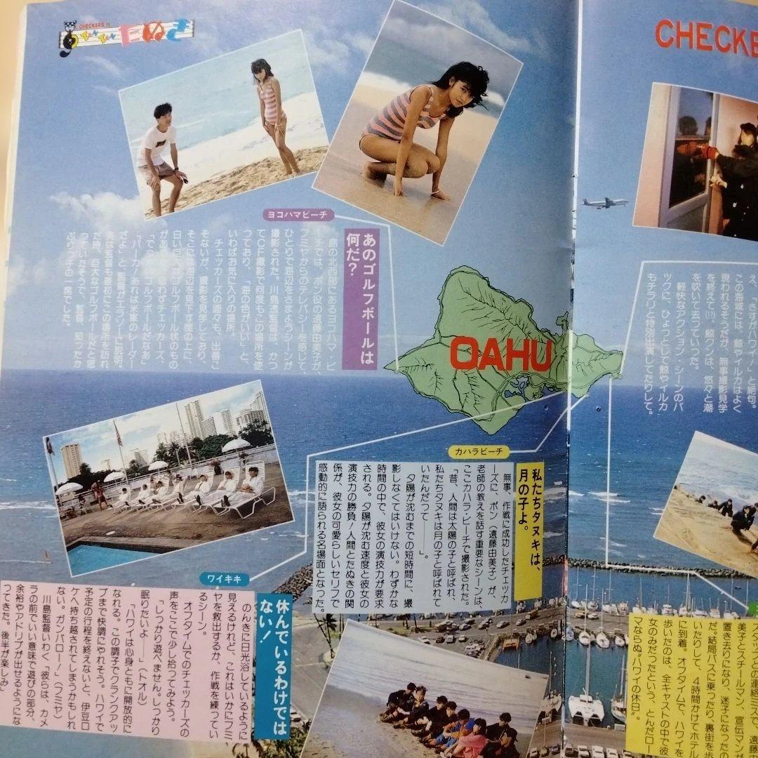 映画「CHECKERS in TANTANたぬき」のパンフレット・中古品 - メルカリ