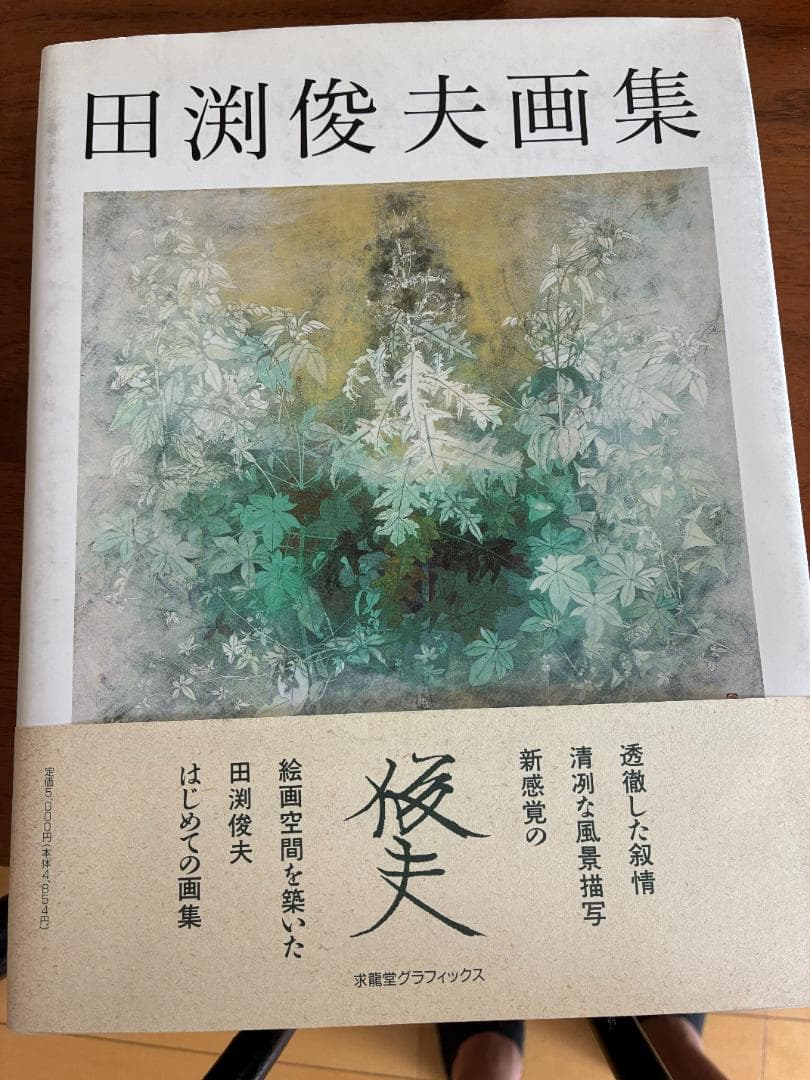 田渕俊夫画集 田渕俊夫画集 刻を描く | 田渕俊夫 |本 | 通販 | Amazon