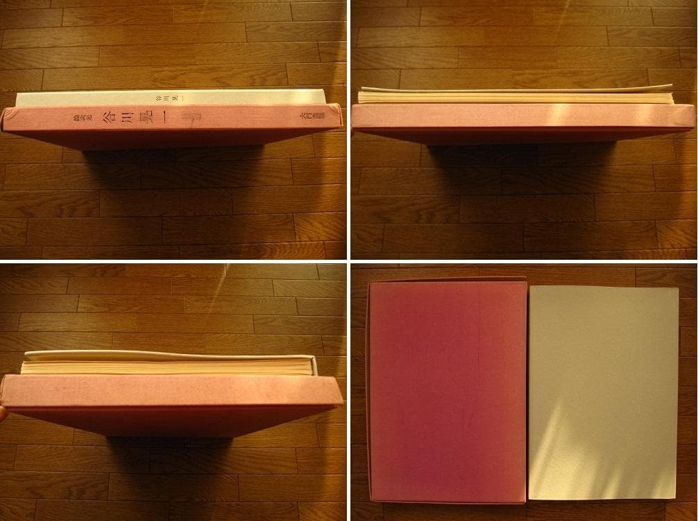 絵次元　谷川晃一　展翅箱　200部限定　肉筆画 一葉付き 直筆サイン　澁澤龍彦