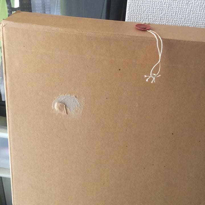 クリスチャン・リース・ラッセン Dolphin Quest Ⅱ 1997年 - メルカリ