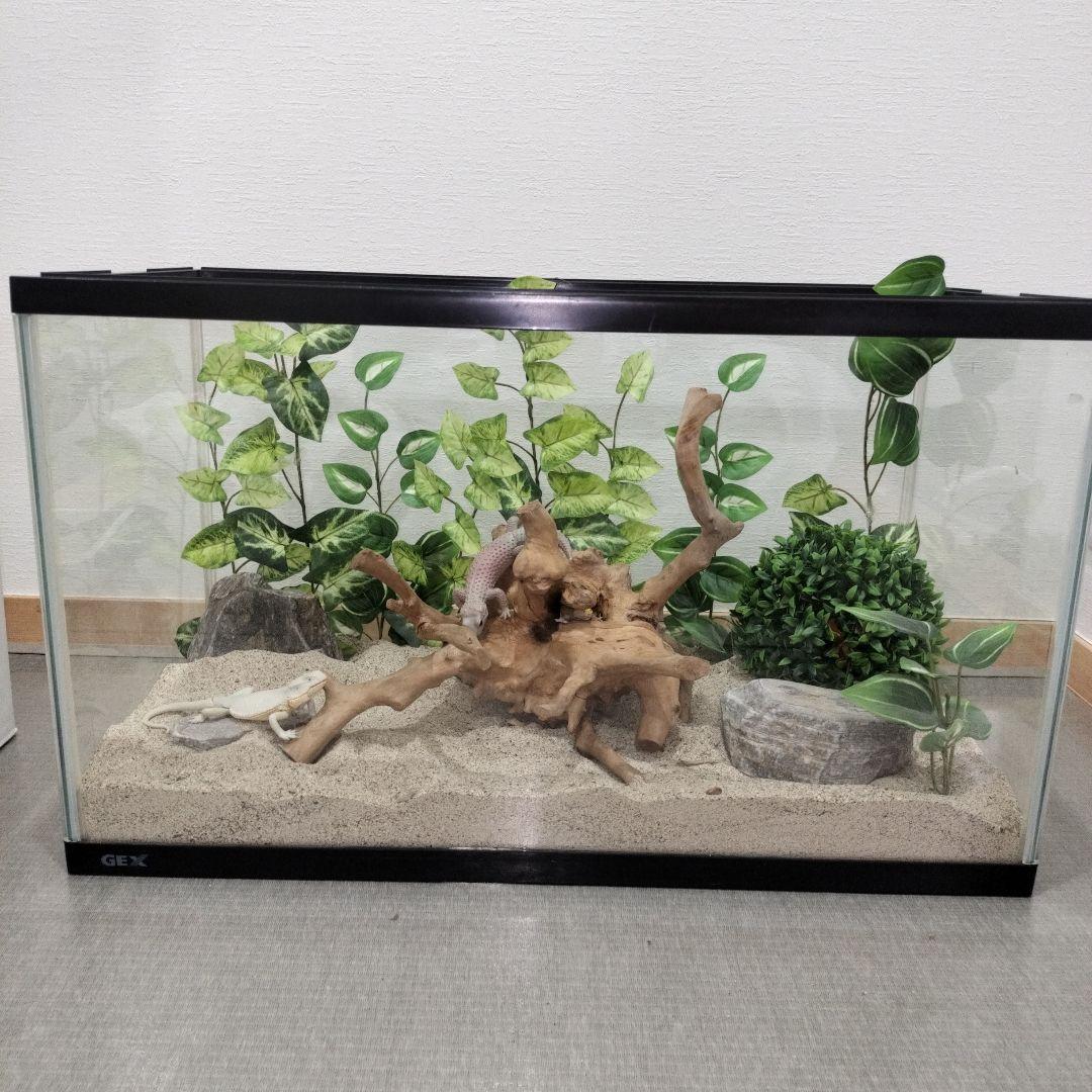 No.1157】シェルター流木 爬虫類レイアウト✫インテリア✫エアー