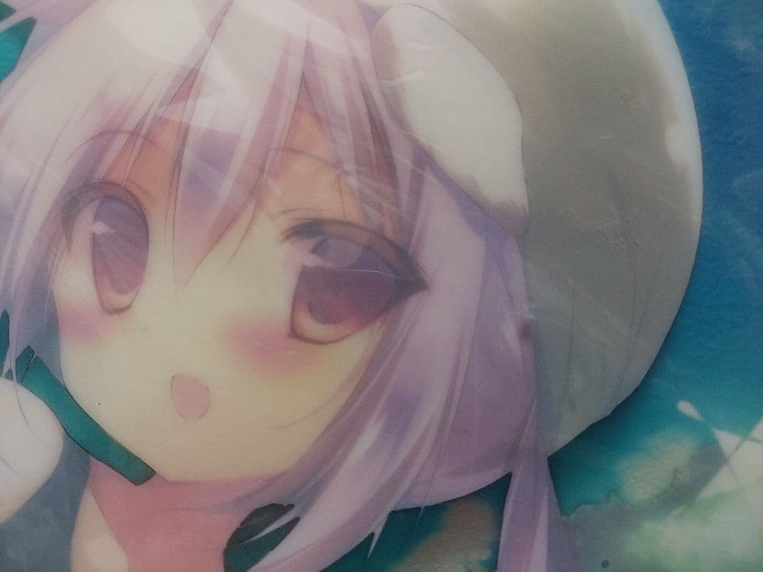 しらたまこ しろいいぬ A3クリアハードポスター C84 しらたま