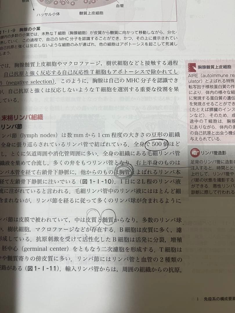 臨床検査技師 教科書 参考書 バラ売り〇 - メルカリ