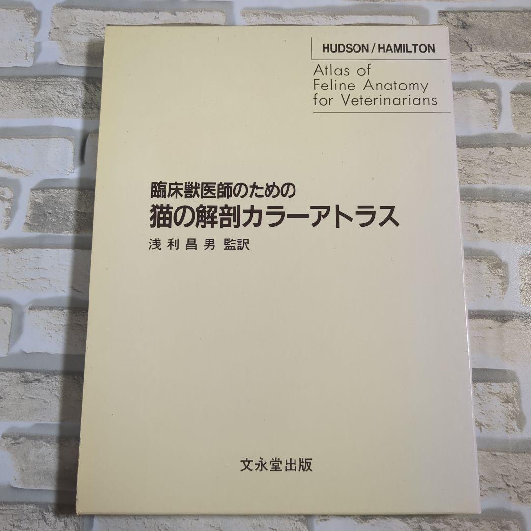 【美品】臨床獣医師のための猫の解剖カラーアトラス 猫の解剖カラーリングアトラス | 基礎獣医学,解剖・組織学 | 株式会社