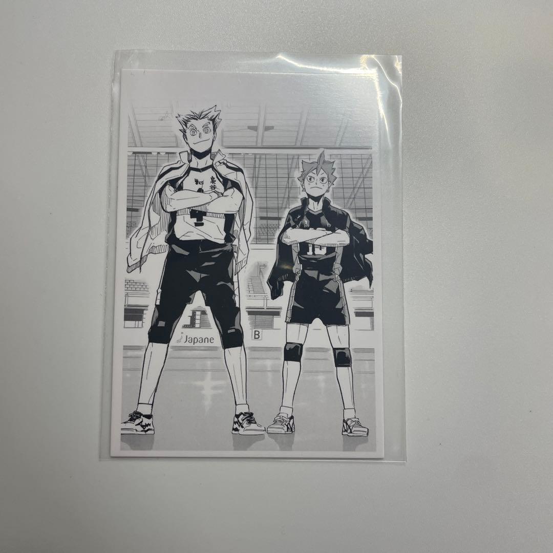 ハイキュー クロニクル フォトカード 木兎光太郎 日向翔陽 - メルカリ