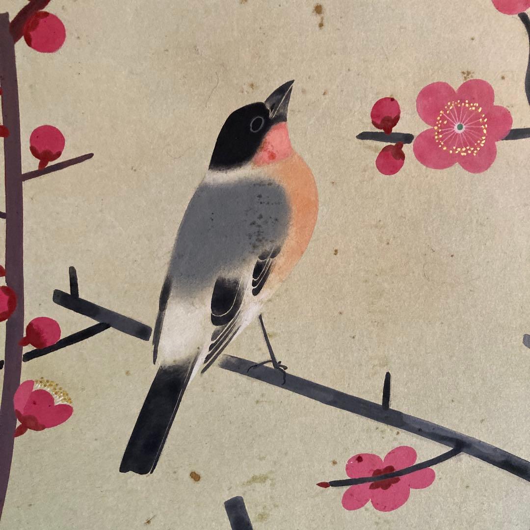 金島桂華「梅」38.4×45cm 2重箱 箱書き 紙本採色 豪華