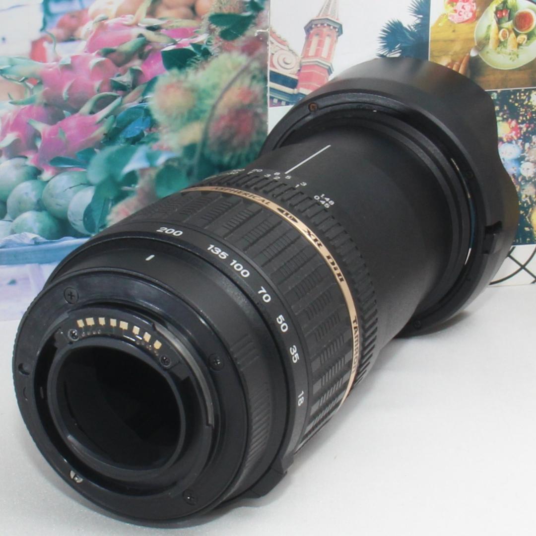 ❤️1本で近遠対応の神レンズ❤️タムロン 18-200mm ソニーaマウント