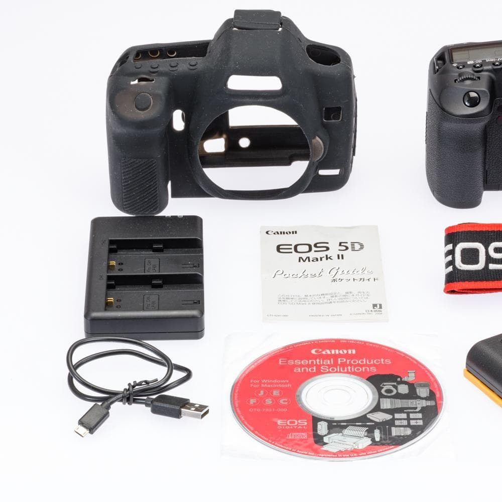 激レア！ショット数僅か734 極上動作品！ Canon 5DMARKⅡ付属品多数